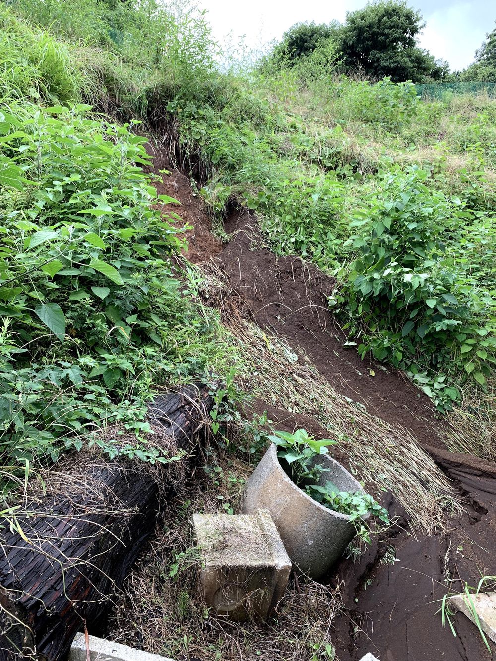 法泉寺へのご寄進(崖崩れ被害の画像)